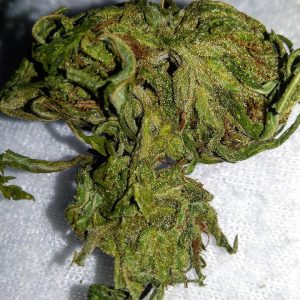 Buy Kali Dog weed in USA Order Kali Dog in England Buy cheap marijuana with card Looking to buy cheap weed in Uk Best online worldwide weed delivery site