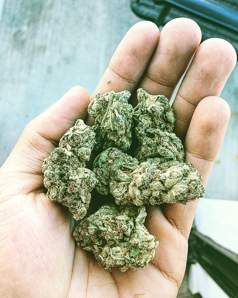 Buy weed online Australia order weed online Sydney buy cannabis online melbourne Buy laskan Thunder Fuck we deliver to all country across the world