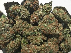 Order marijuana Australia