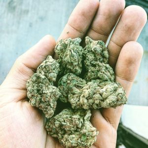Buy weed online Australia order weed online Sydney buy cannabis online melbourne Buy laskan Thunder Fuck we deliver to all country across the world