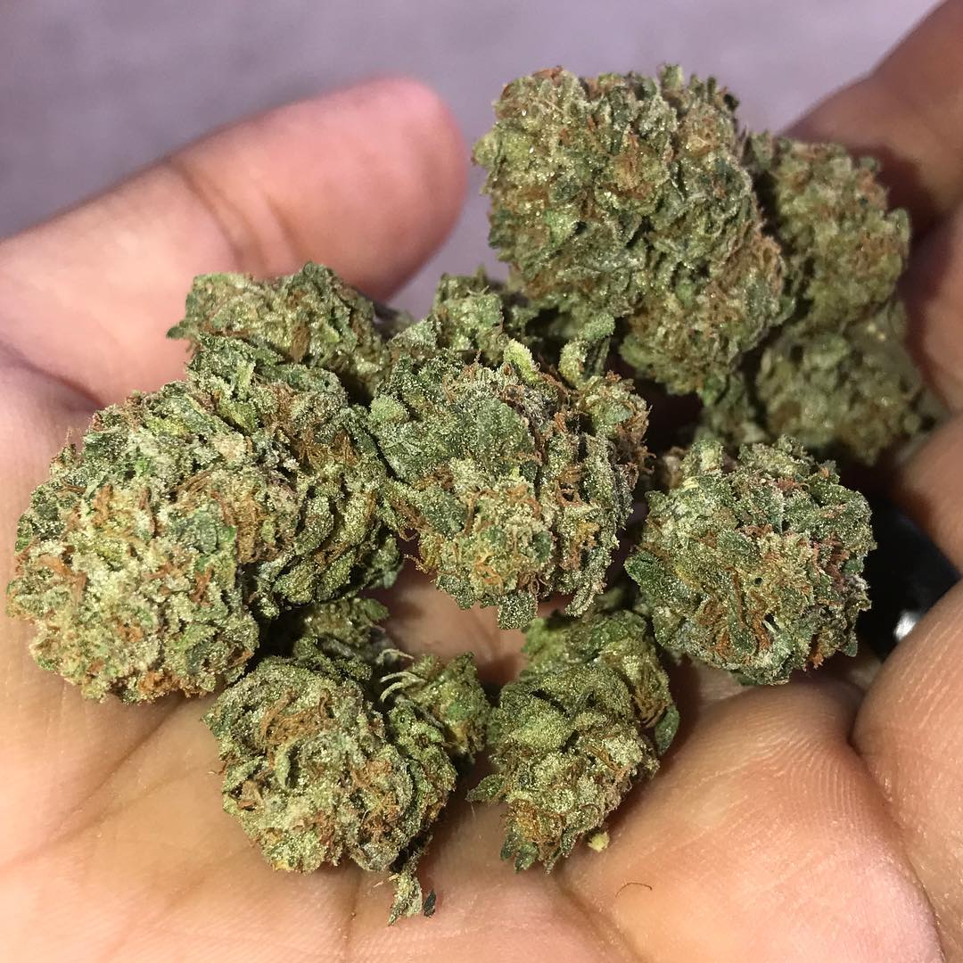 BUY WEED ONLINE AUSTRALIA