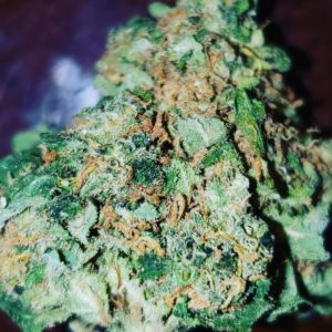 Buy Indica Weed Strains, Buy Cannabis Seeds from the Best Online Seed Bank in Australia. Cannabis ... Our cannabis genetics are classified as either indica