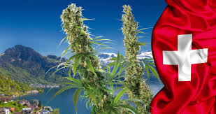 Buy medical marijuana Switzerland
