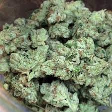BUY TRUE OG KUSH. Find information about the True OG cannabis strain including user reviews, its most common effects, True OG Kush Seeds Australia, Uk, USA